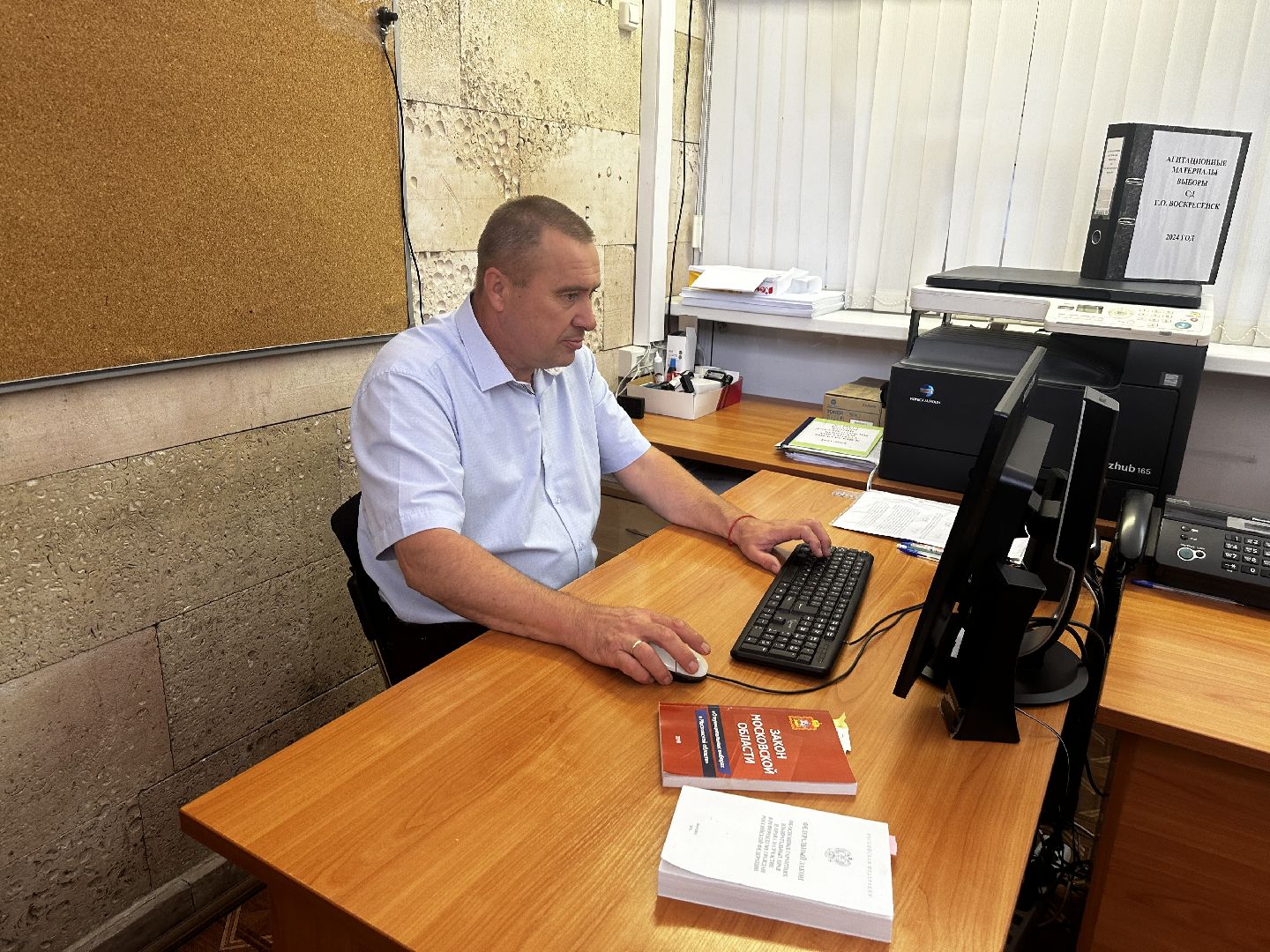 воскресенск, тик, выборы депутатов совета депутатов,