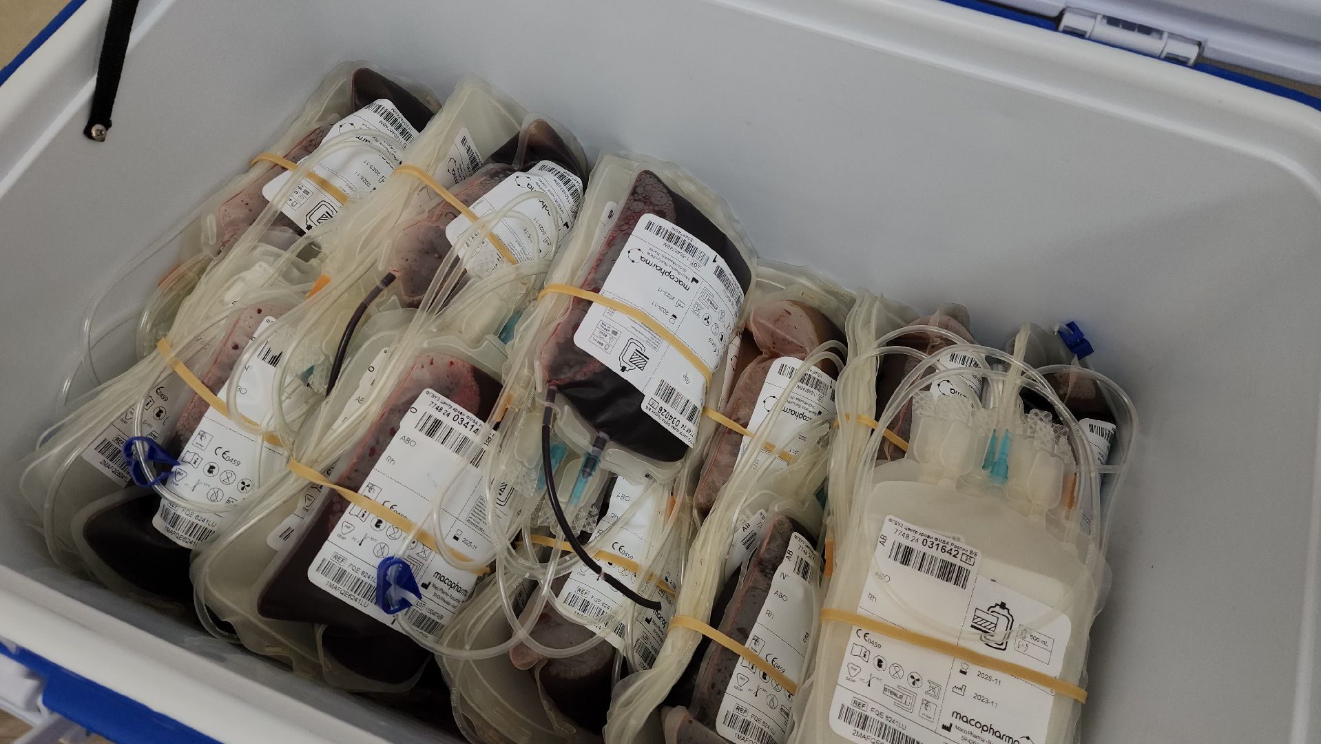 донорство, фмба россии, акция по сбору донорской крови,