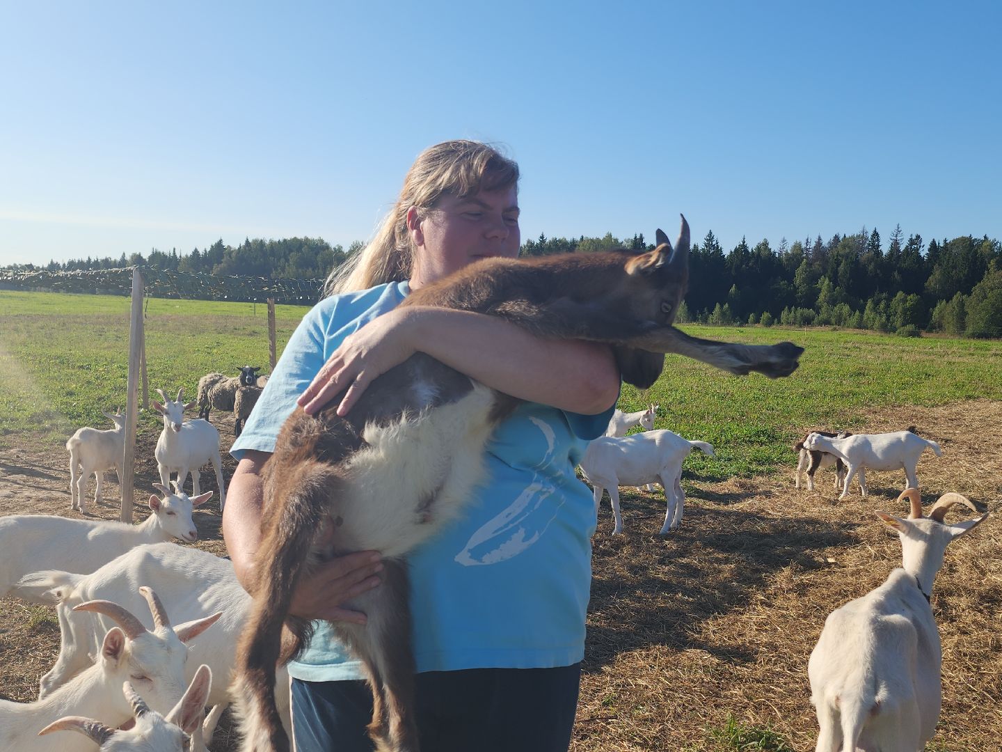 разведение коз, фермеры, субсидии,