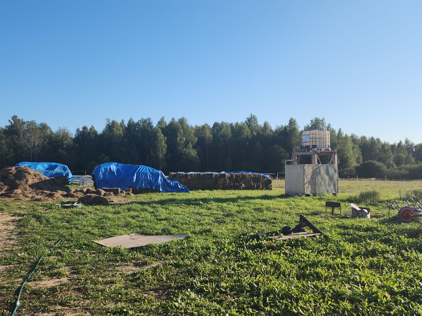 разведение коз, фермеры, субсидии,