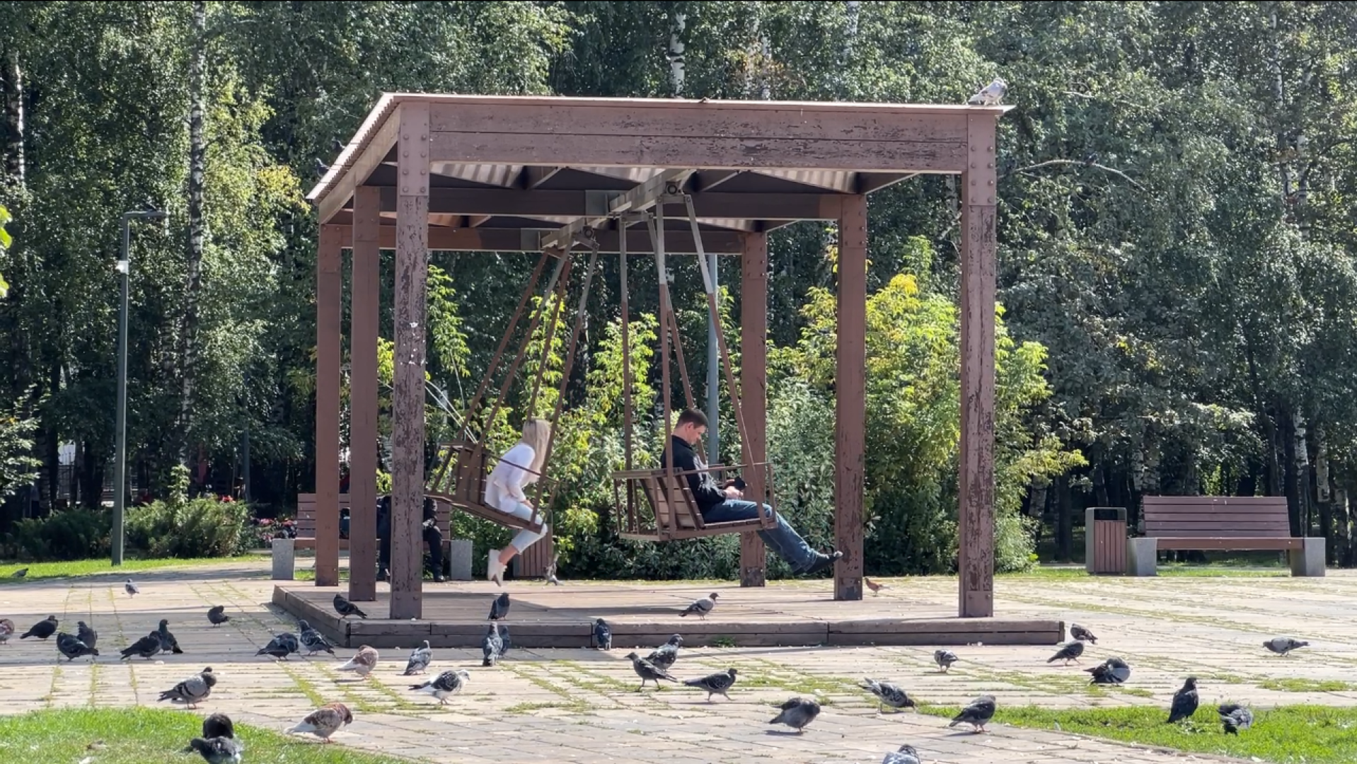 химки, благоустройство, выездная администрация, обращение жителей,