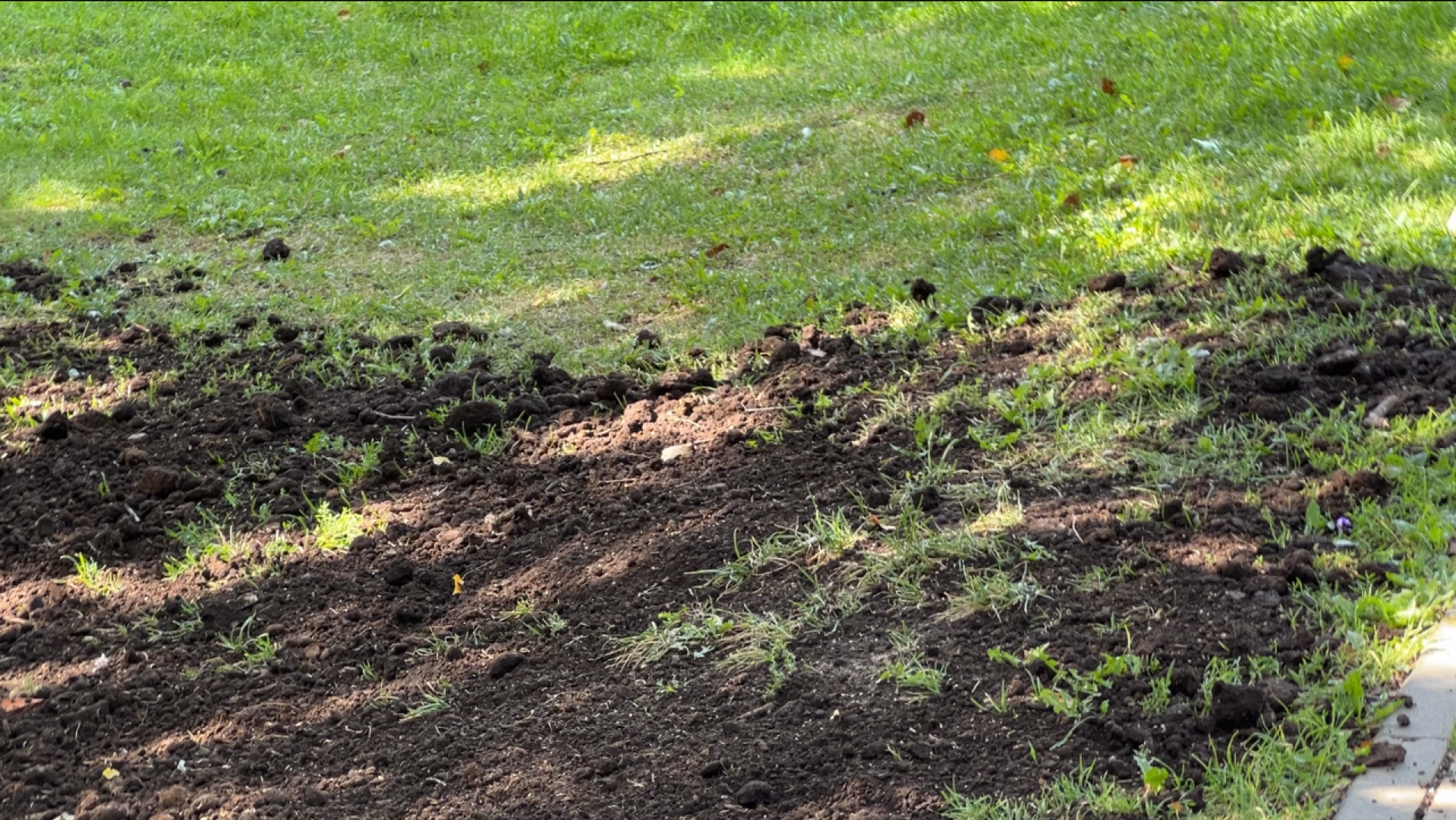 химки, благоустройство, выездная администрация, обращение жителей,