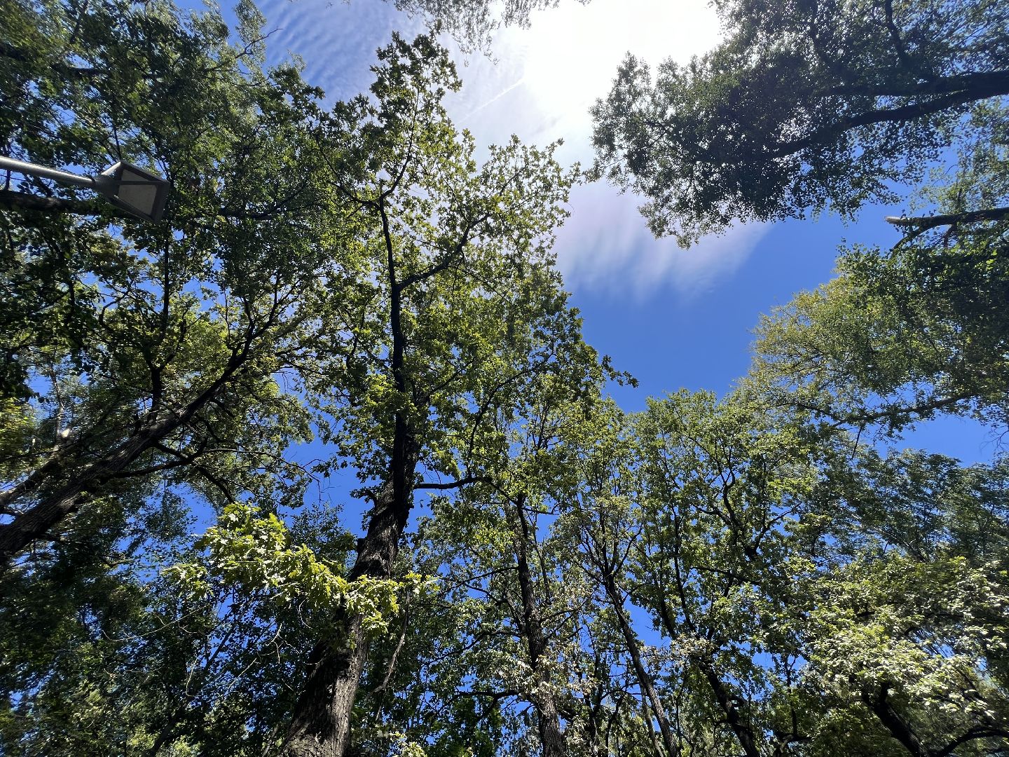 выездная администрация, химки, благоустройство, обращение жителей,