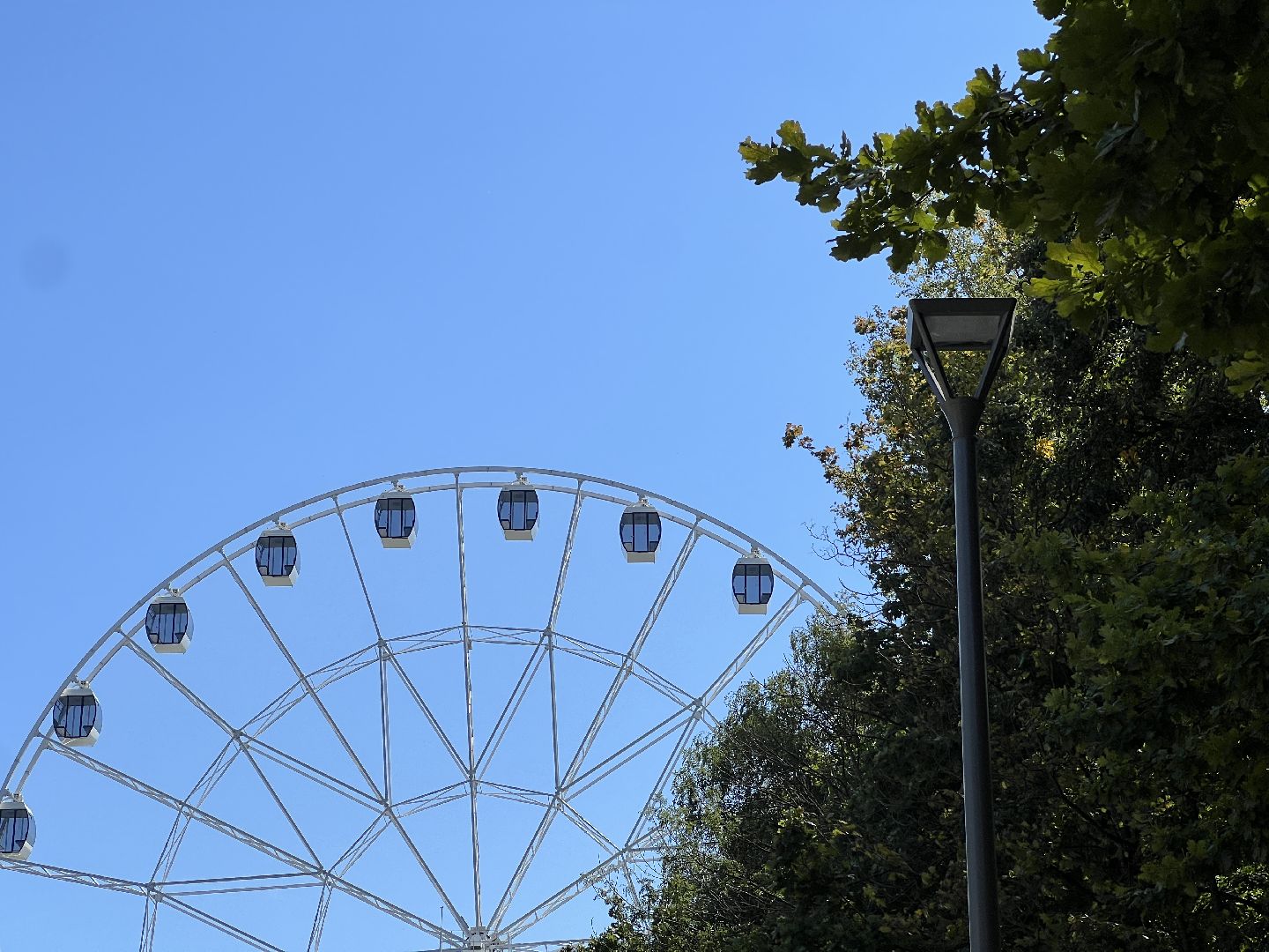 выездная администрация, химки, благоустройство, обращение жителей,