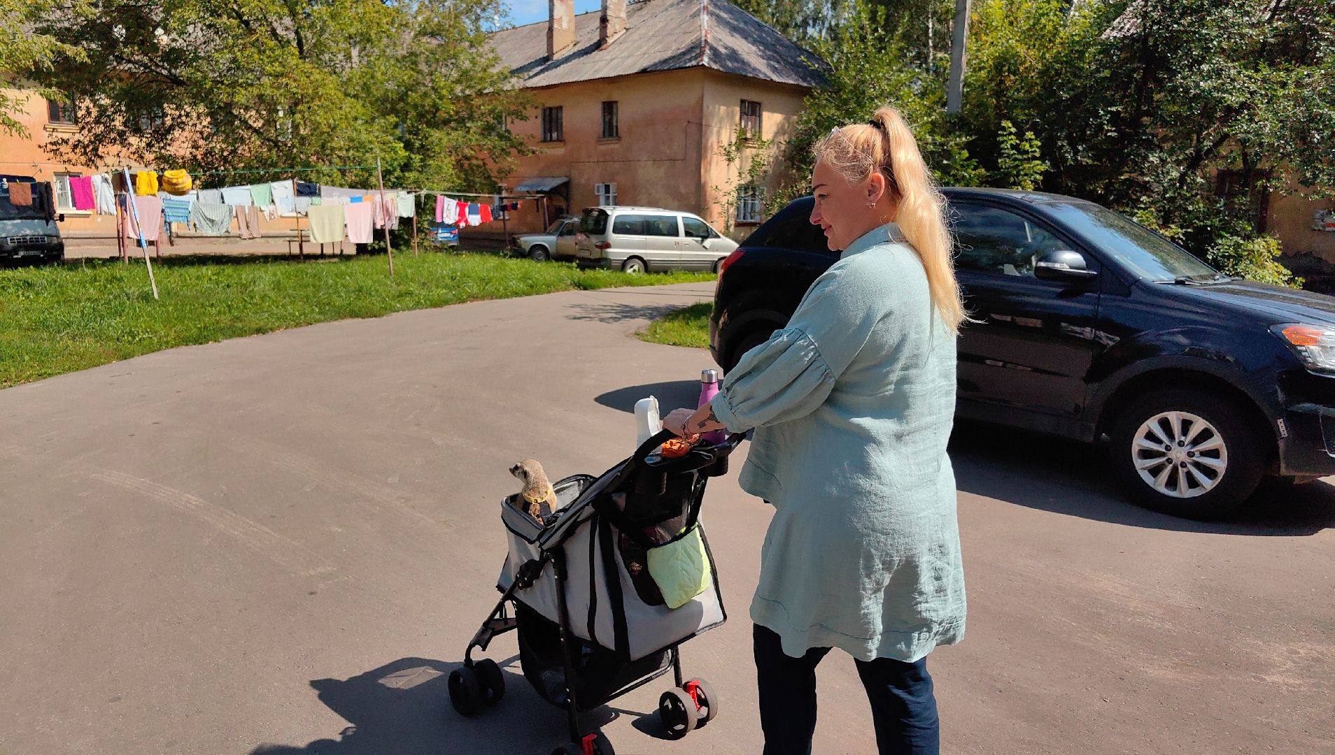 сурикаты, одежда для экзотов, финик и марта, костюмы, дизайнер,