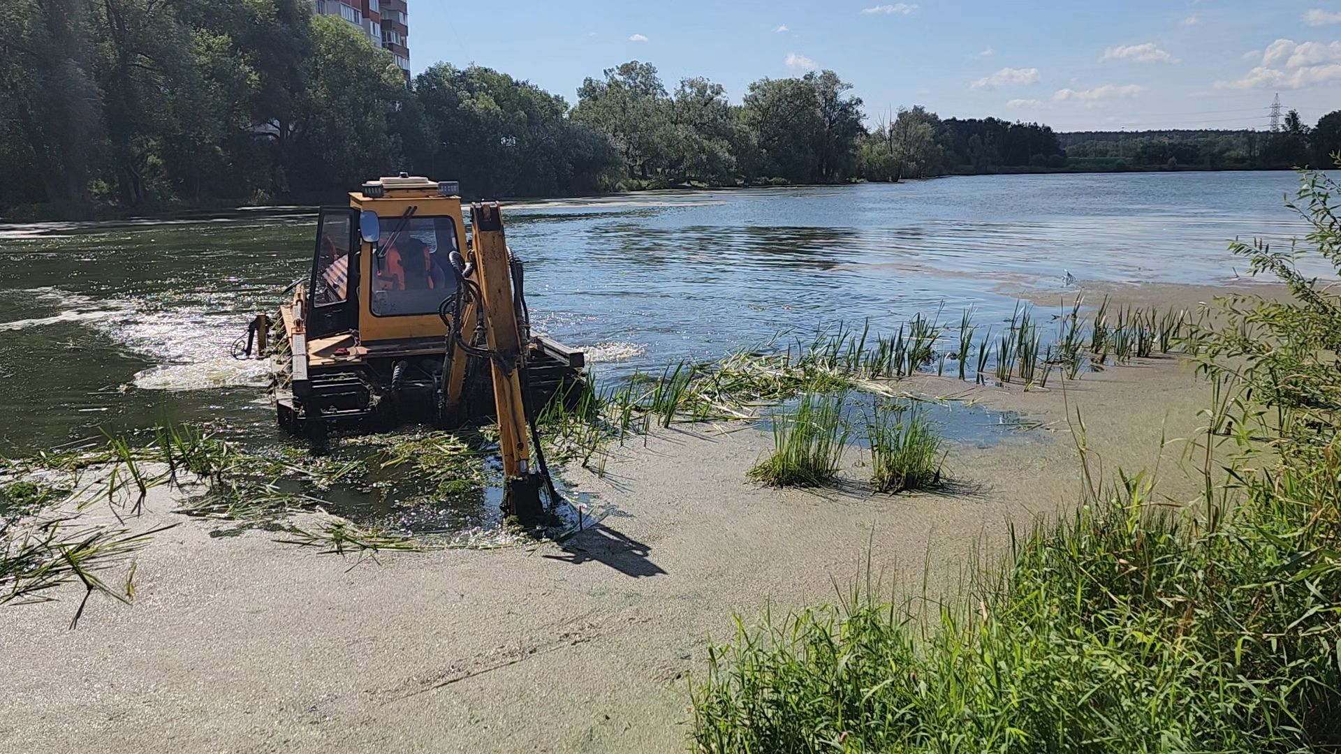 одинцово, юдино, 100 прудов и озер, очистка водоема, экология,