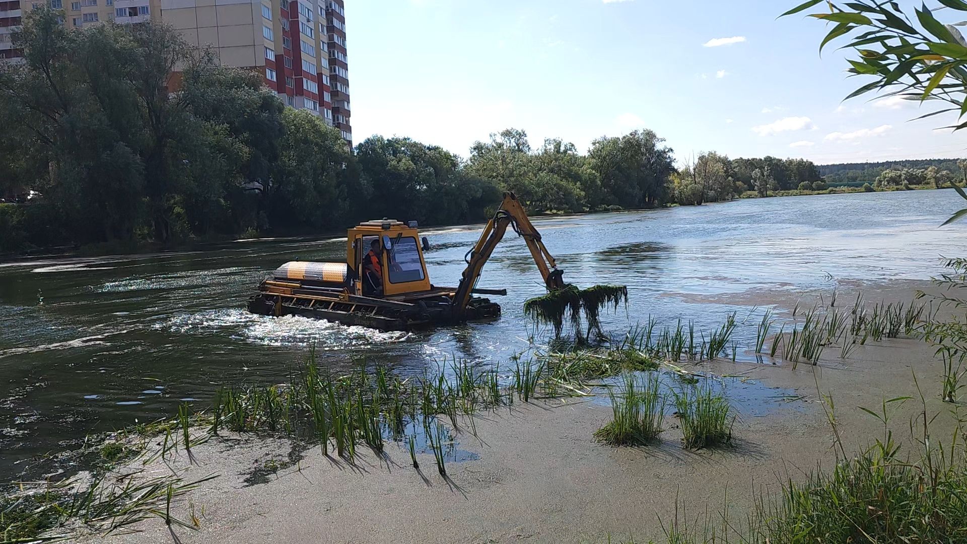 одинцово, юдино, 100 прудов и озер, очистка водоема, экология,