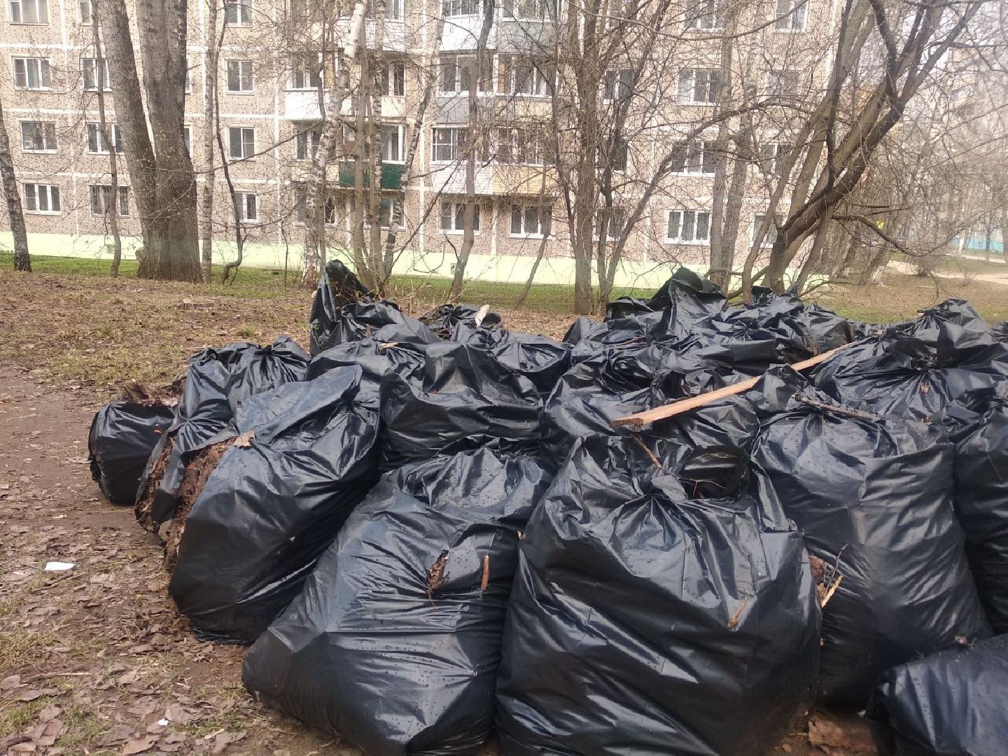 Дмитров, Благоустройство, Перемены