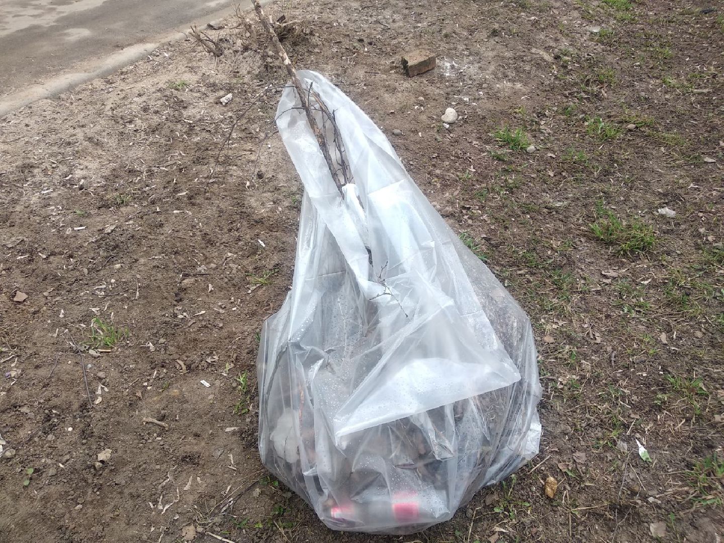 Дмитров, Благоустройство, Перемены