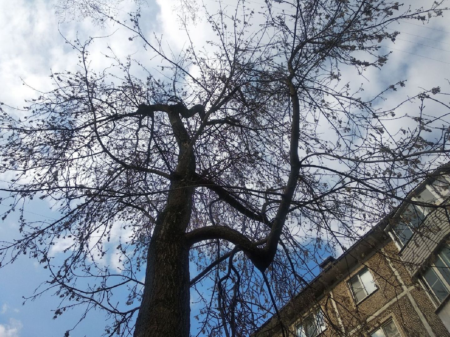 Дмитров, Благоустройство, Перемены