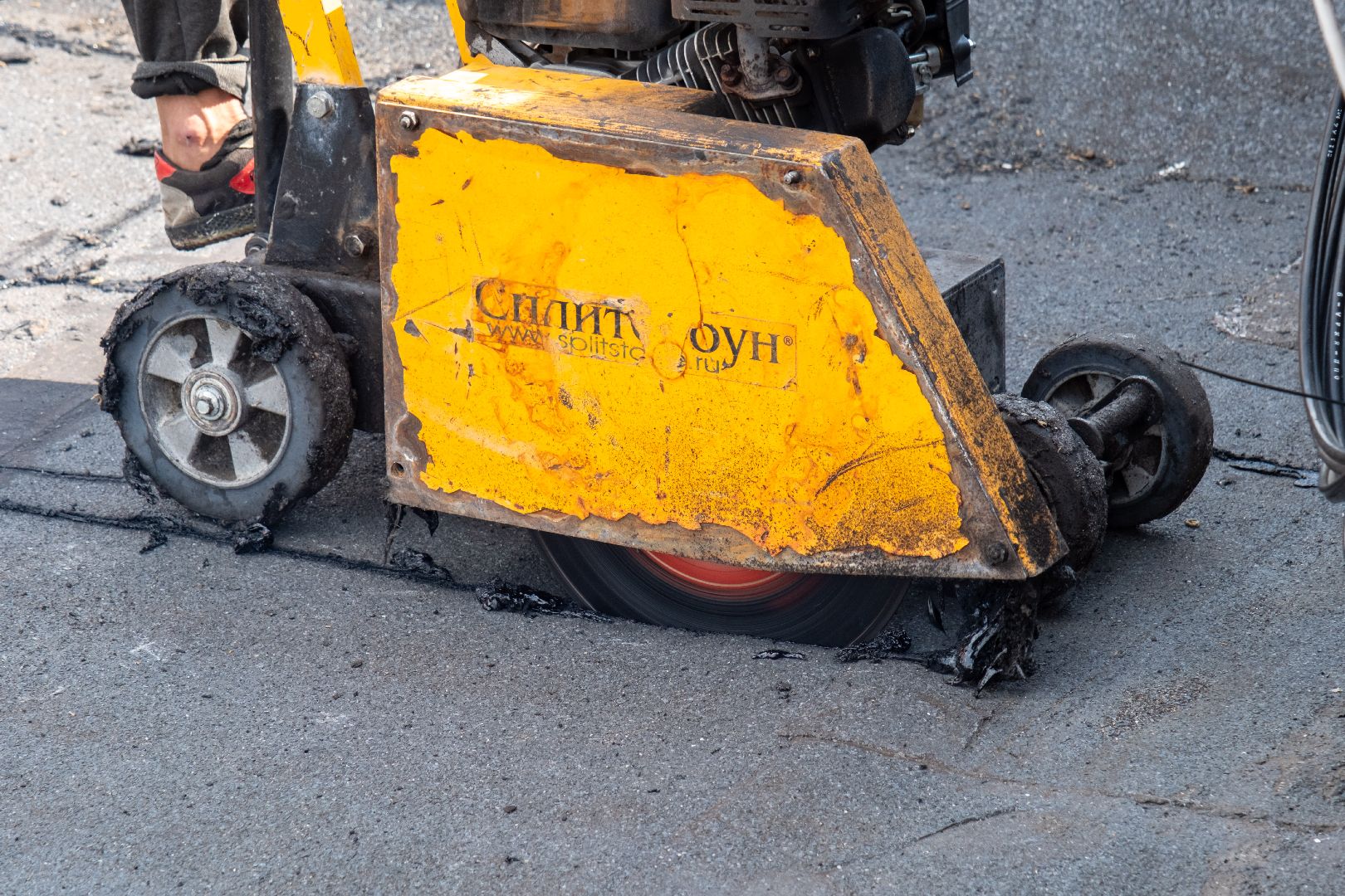 лыткарино, общество, выездная администрация,