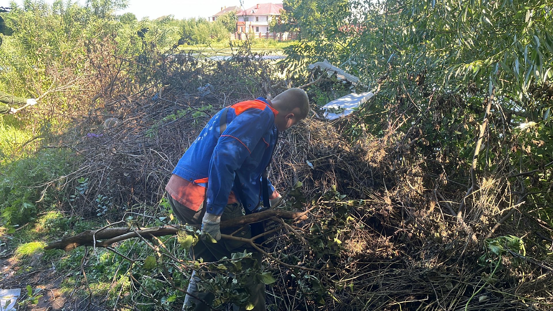 эко, эколагерь, волонтеры,