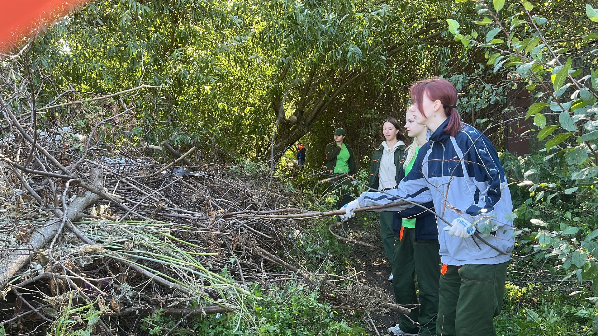 эко, эколагерь, волонтеры,