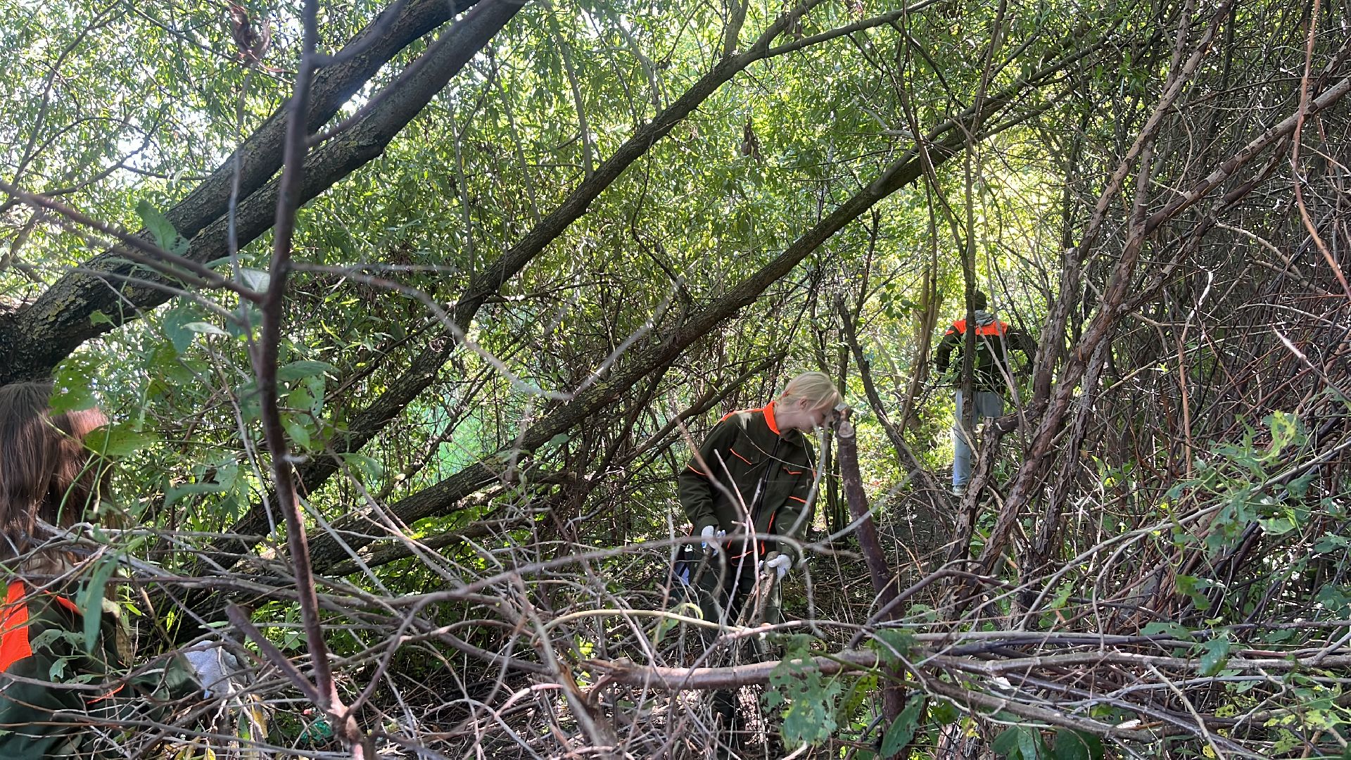 эко, эколагерь, волонтеры,