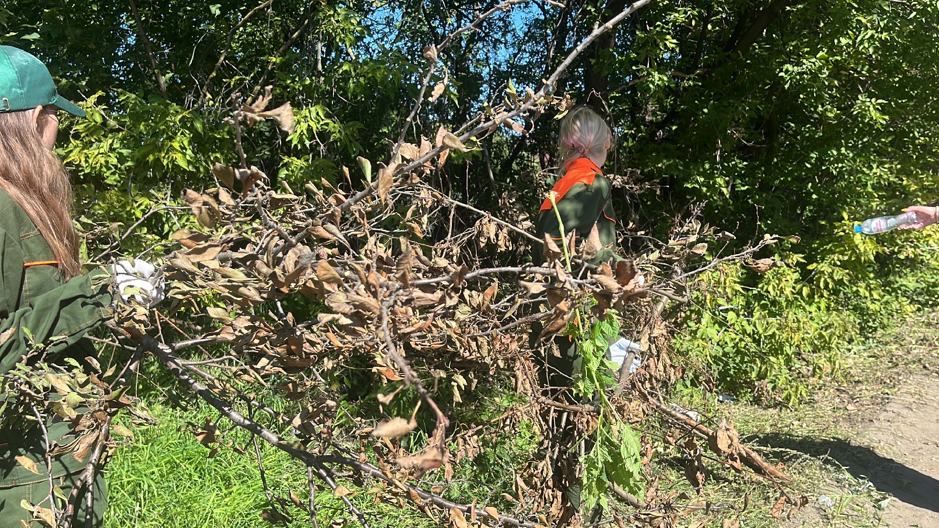 эко, эколагерь, волонтеры,