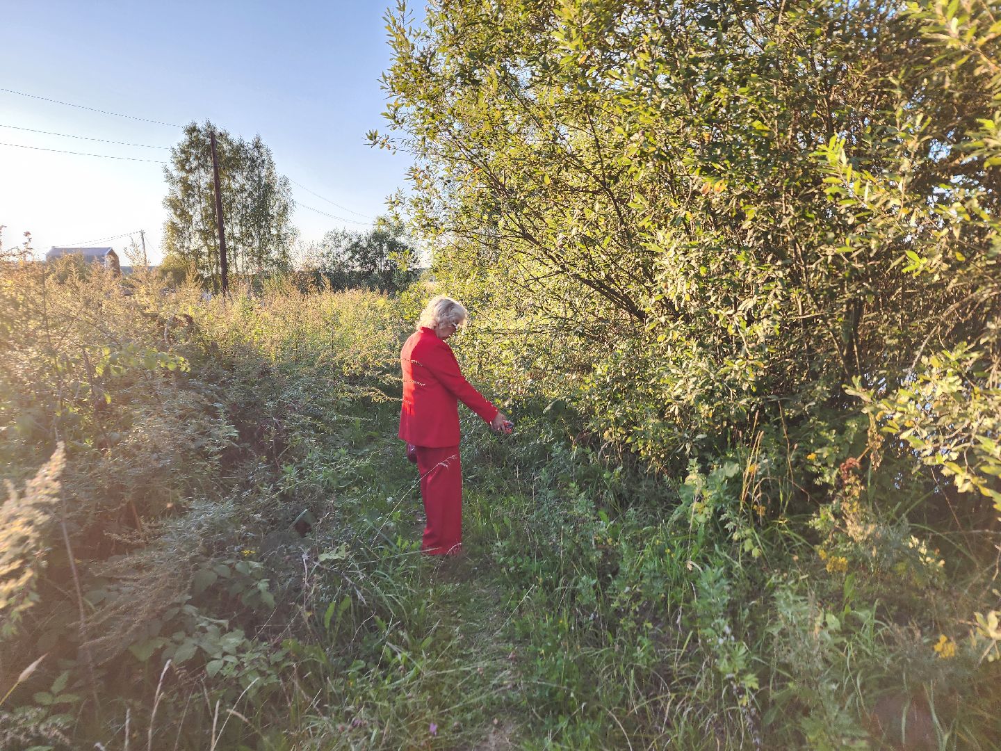 Чехов, село Стремилово, выездная администрация, встреча с жителями, обращения жителей, ремонт дамбы, востановление плотины, гидротехнические сооружения,