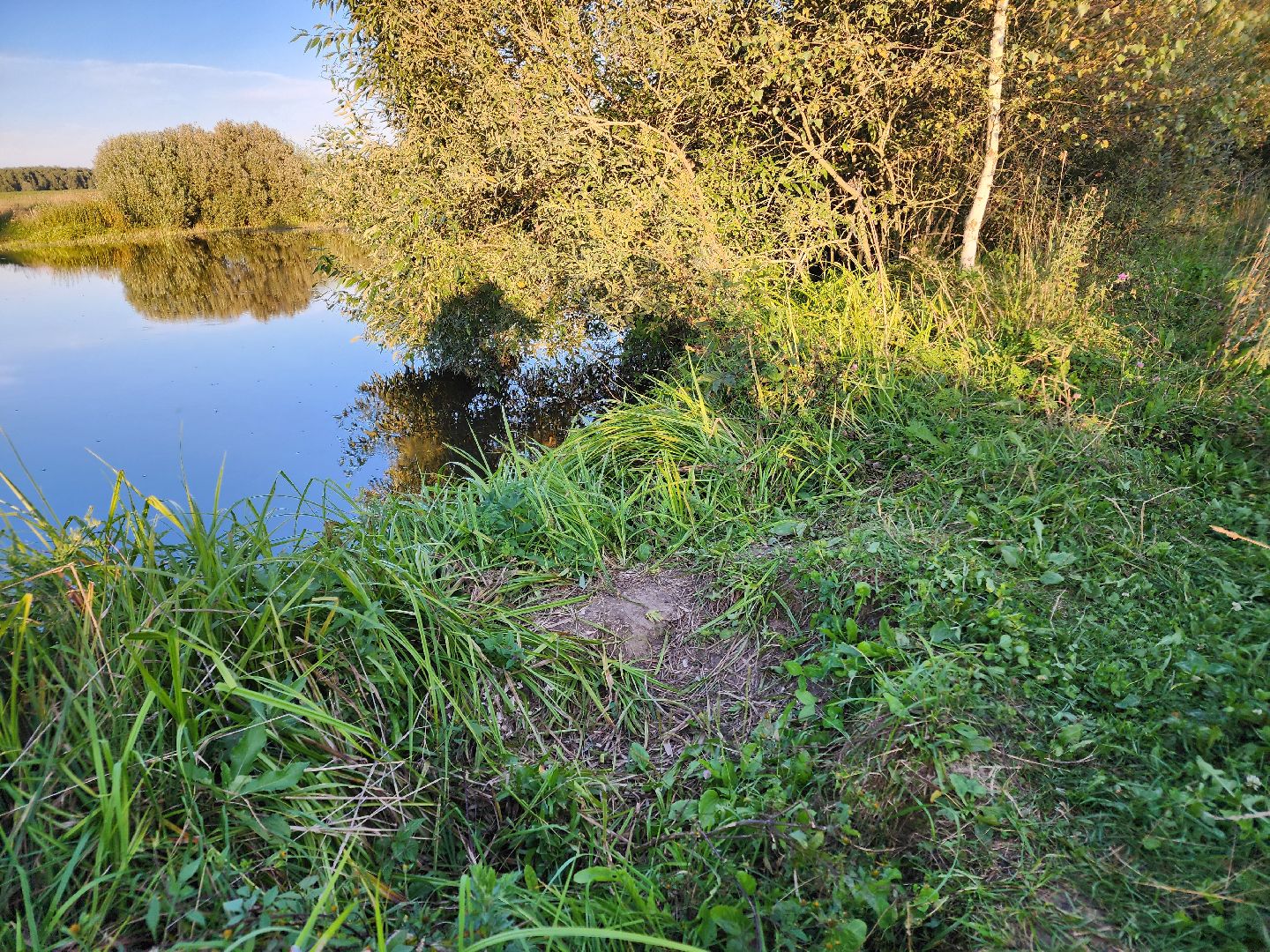 Чехов, село Стремилово, выездная администрация, встреча с жителями, обращения жителей, ремонт дамбы, востановление плотины, гидротехнические сооружения,