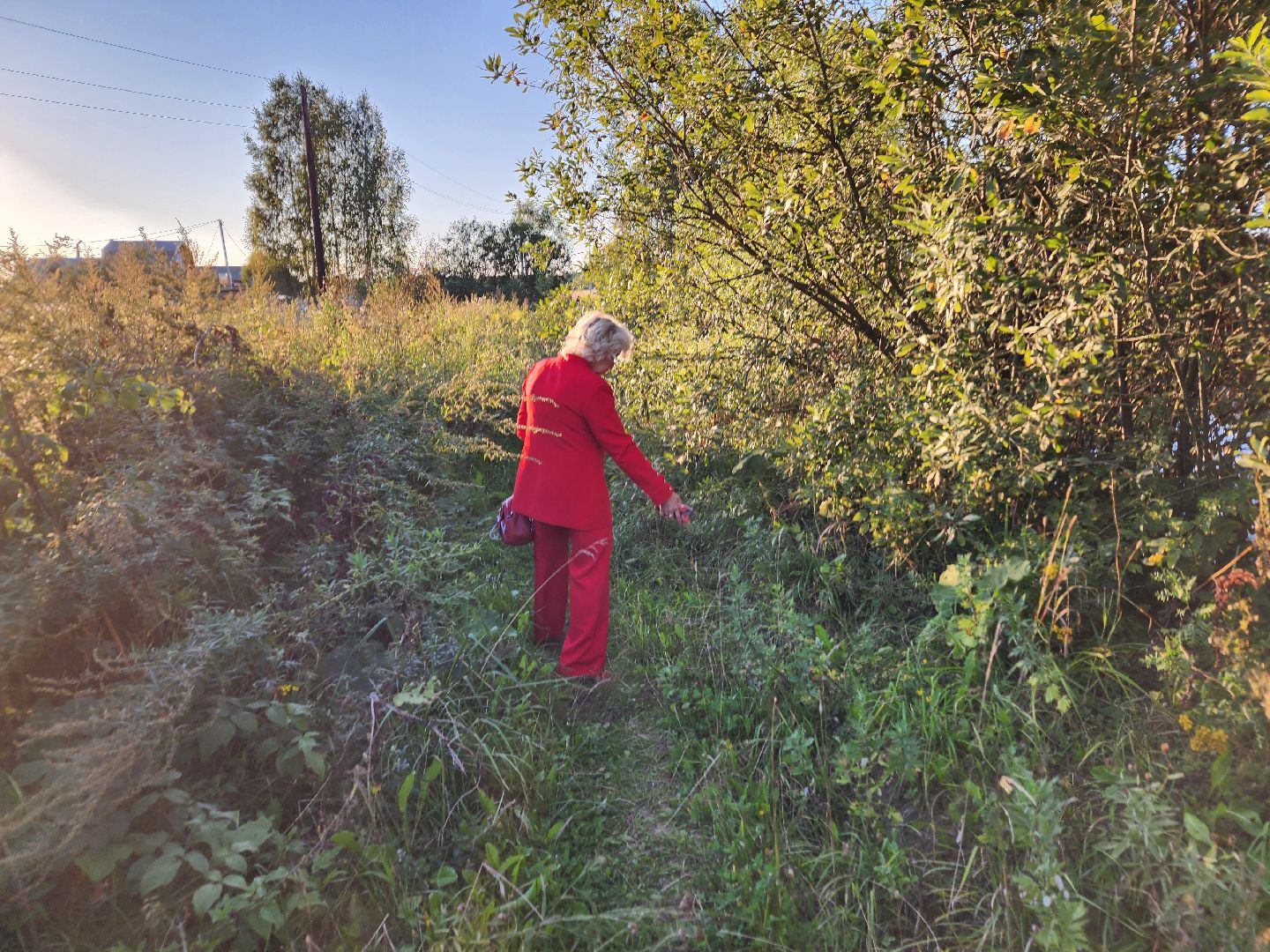 Чехов, село Стремилово, выездная администрация, встреча с жителями, обращения жителей, ремонт дамбы, востановление плотины, гидротехнические сооружения,