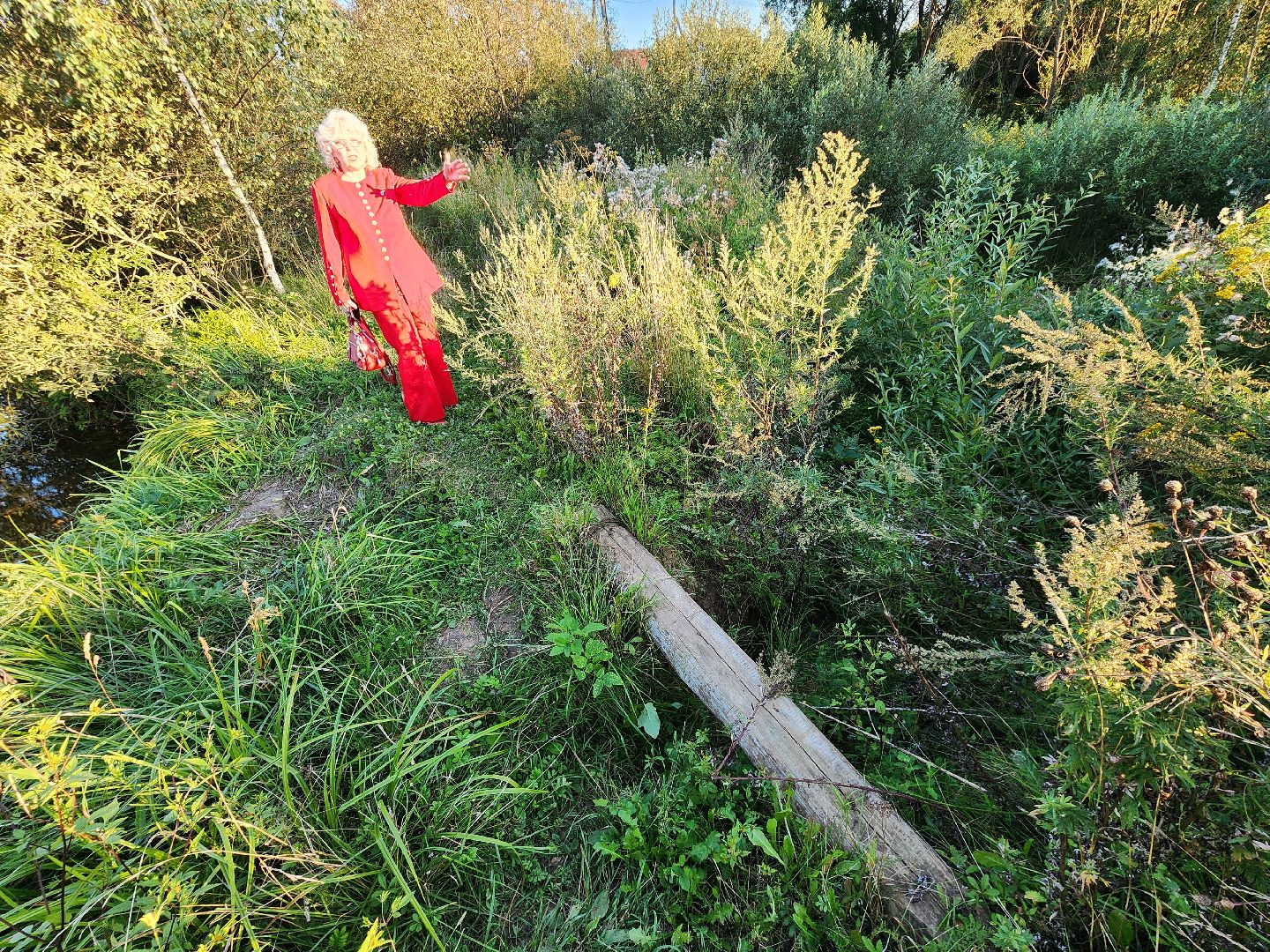 Чехов, село Стремилово, выездная администрация, встреча с жителями, обращения жителей, ремонт дамбы, востановление плотины, гидротехнические сооружения,