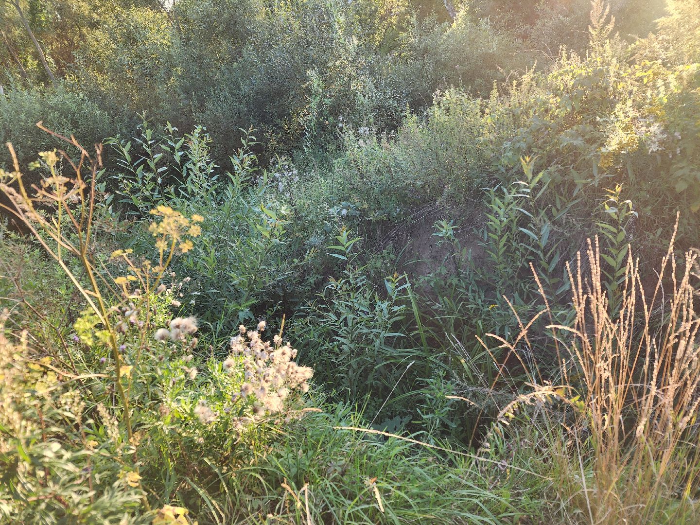Чехов, село Стремилово, выездная администрация, встреча с жителями, обращения жителей, ремонт дамбы, востановление плотины, гидротехнические сооружения,