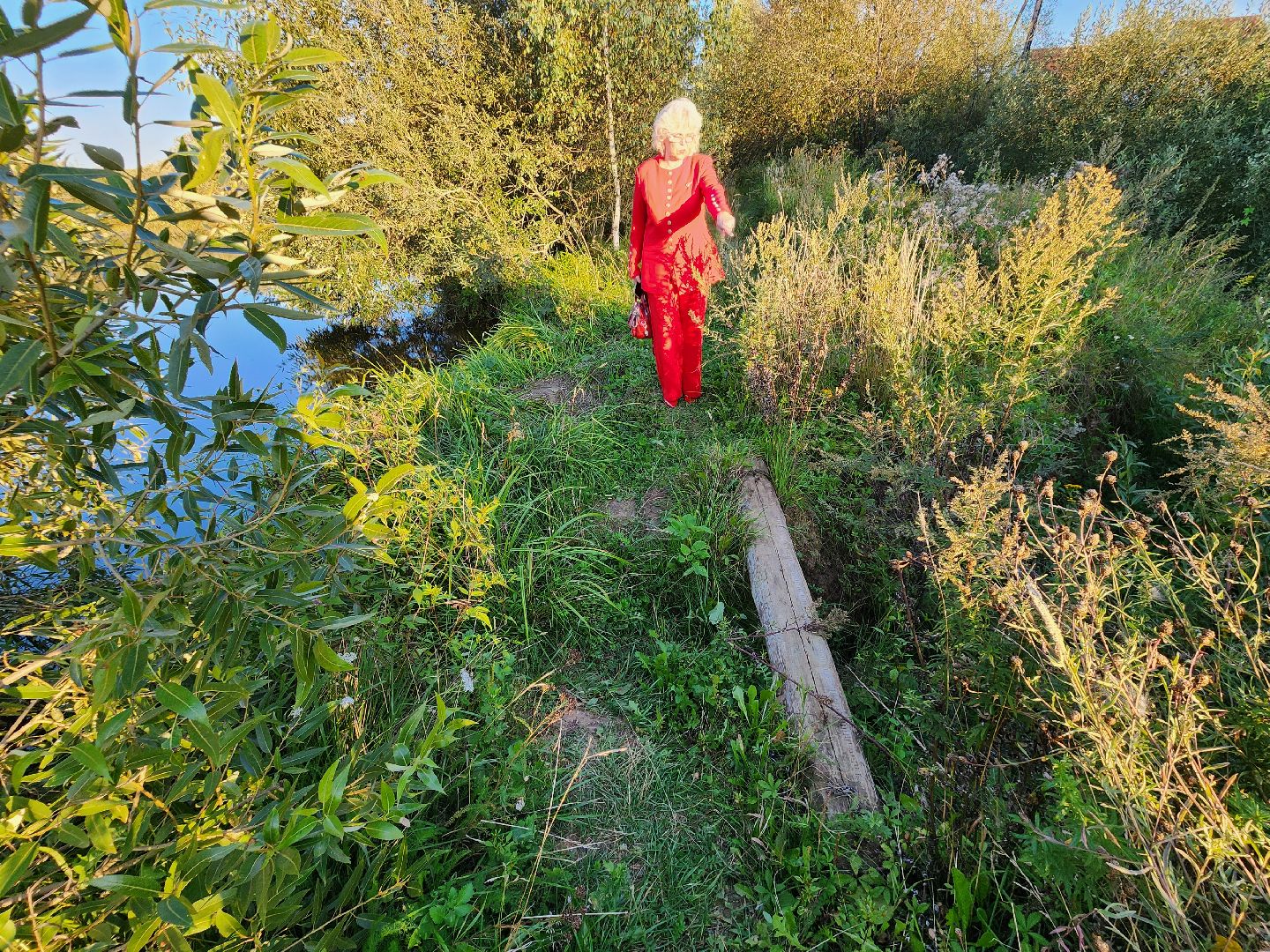 Чехов, село Стремилово, выездная администрация, встреча с жителями, обращения жителей, ремонт дамбы, востановление плотины, гидротехнические сооружения,