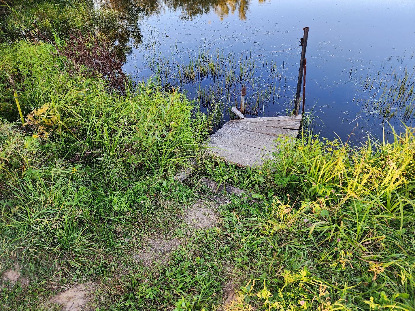 Чехов, село Стремилово, выездная администрация, встреча с жителями, обращения жителей, ремонт дамбы, востановление плотины, гидротехнические сооружения,