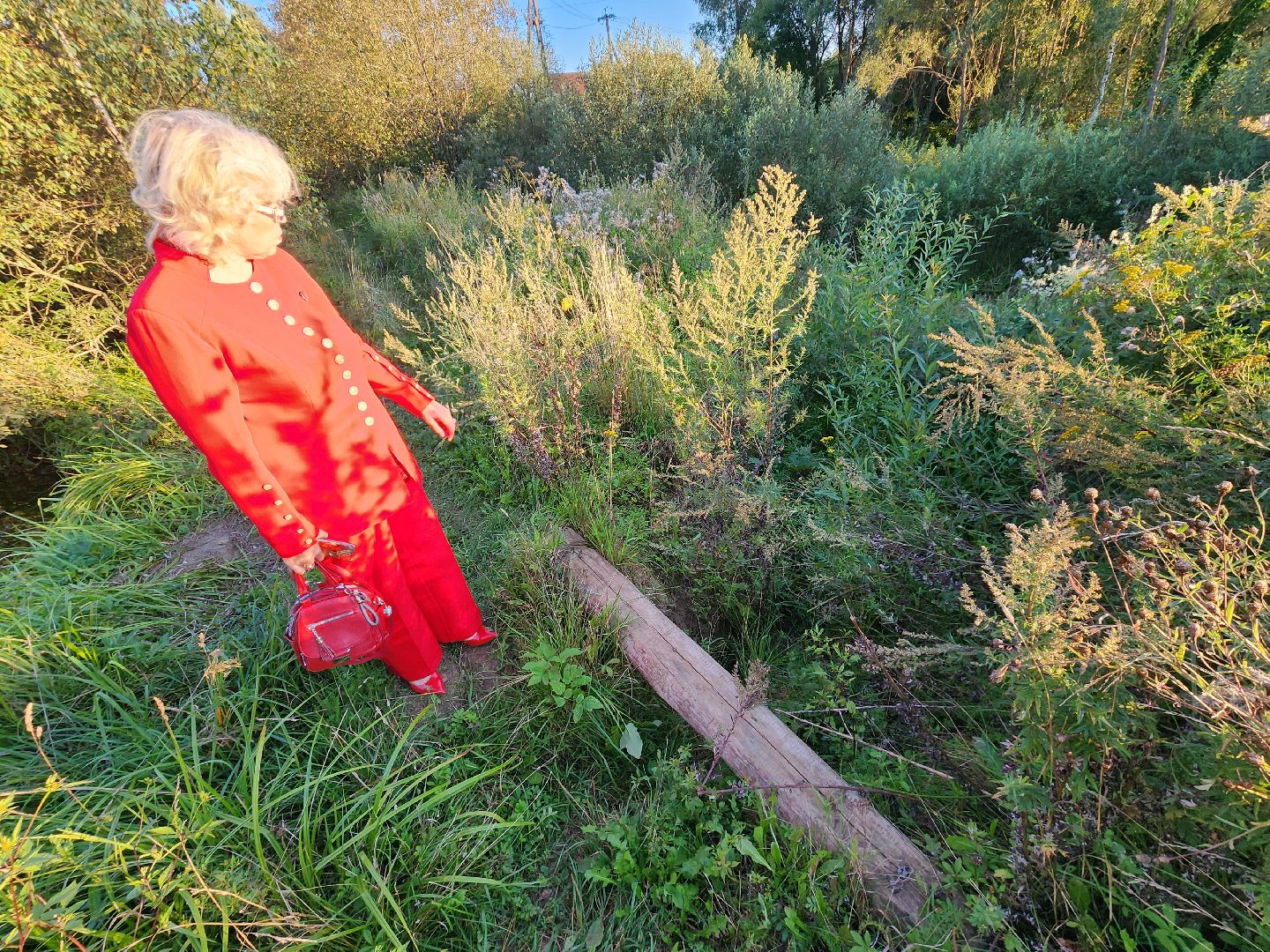 Чехов, село Стремилово, выездная администрация, встреча с жителями, обращения жителей, ремонт дамбы, востановление плотины, гидротехнические сооружения,