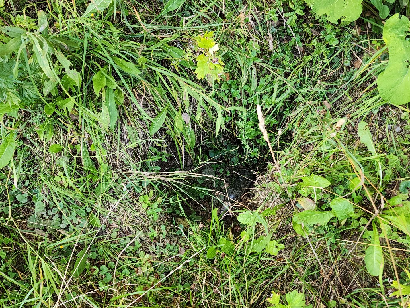 Чехов, село Стремилово, выездная администрация, встреча с жителями, обращения жителей, ремонт дамбы, востановление плотины, гидротехнические сооружения,