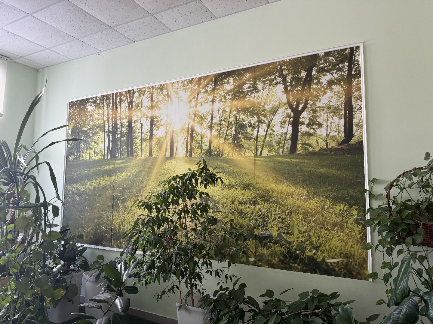 фрязино, 2 школа, учеба, образование,