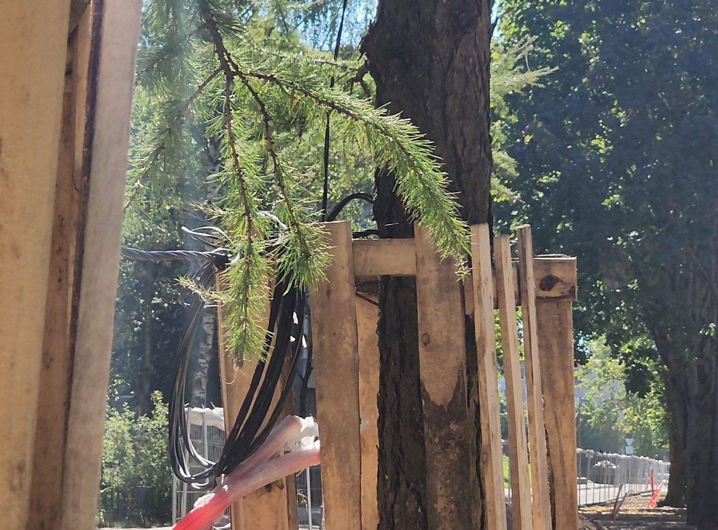 Дубна, Благоустройство, Пешеходные зоны, Укладка плитки, Подготовительные работы, укладка асфальта,