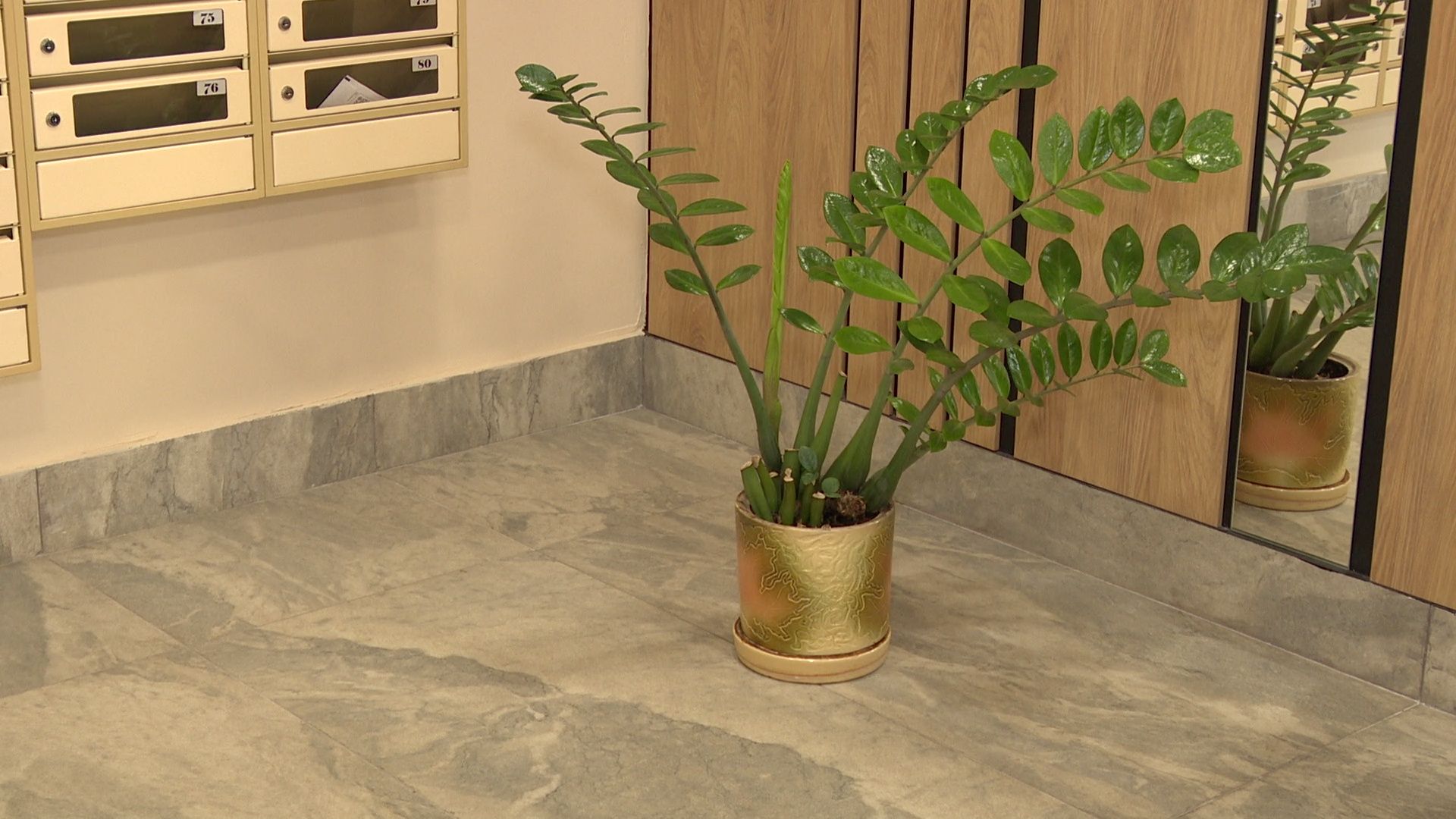 Реутов, ЖКХ, благоустройство, ремонт дома, дизайн-проект,