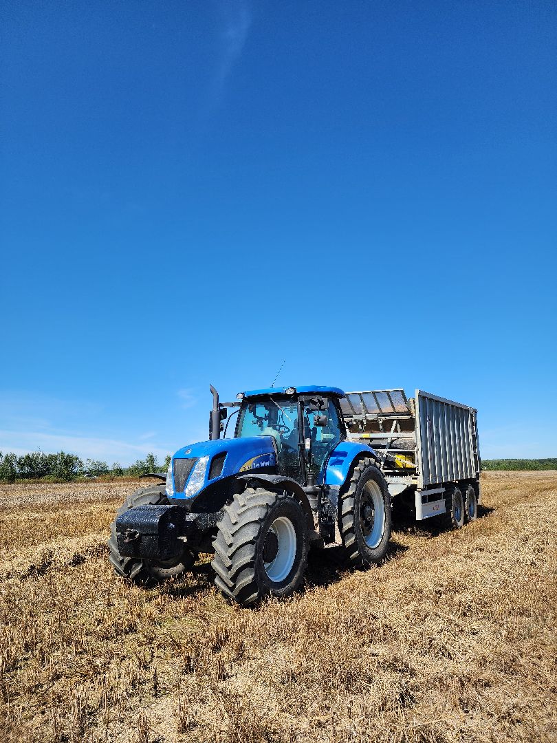 сельское хозяйство, уборка урожая, сельскохозяйственные культуры, Обухово, Богородский городской округ,