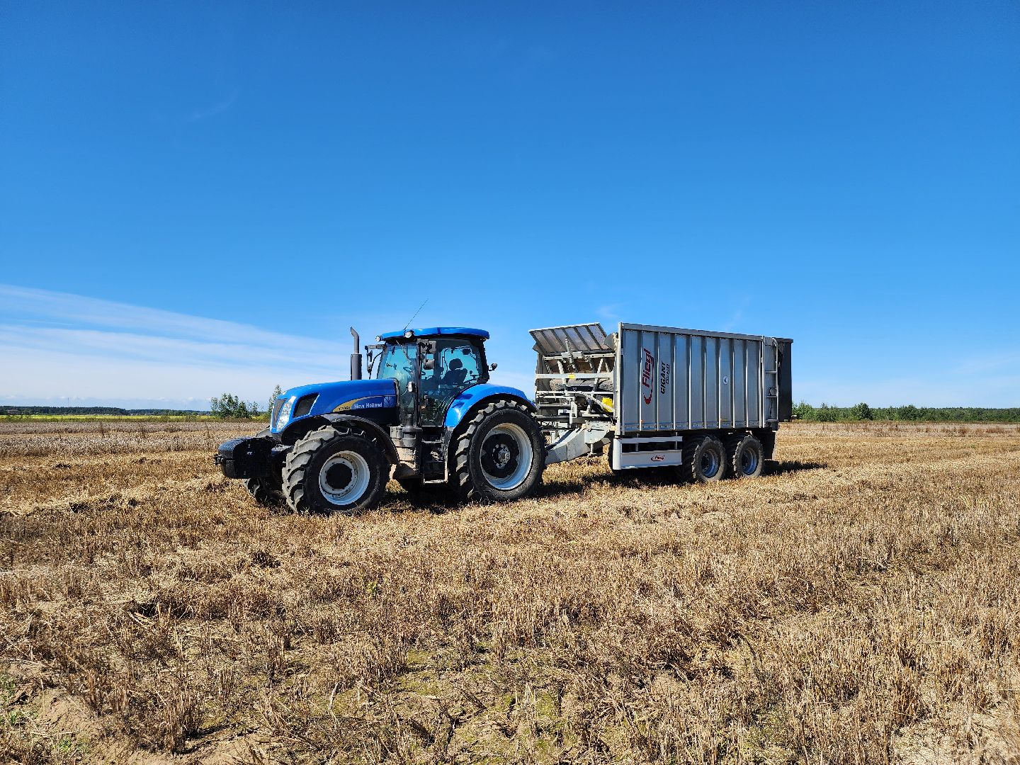 сельское хозяйство, уборка урожая, сельскохозяйственные культуры, Обухово, Богородский городской округ,