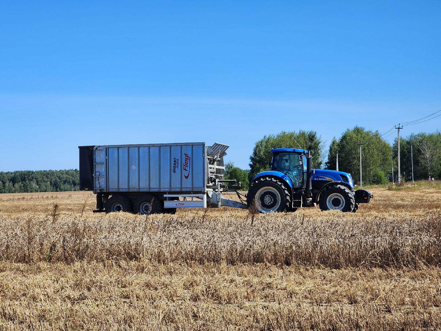 сельское хозяйство, уборка урожая, сельскохозяйственные культуры, Обухово, Богородский городской округ,