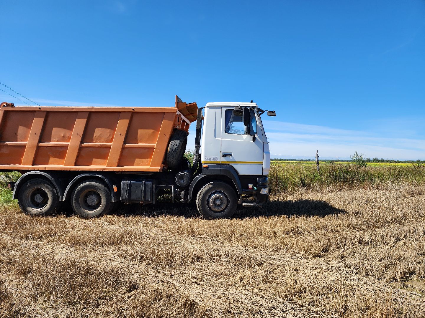 сельское хозяйство, уборка урожая, сельскохозяйственные культуры, Обухово, Богородский городской округ,