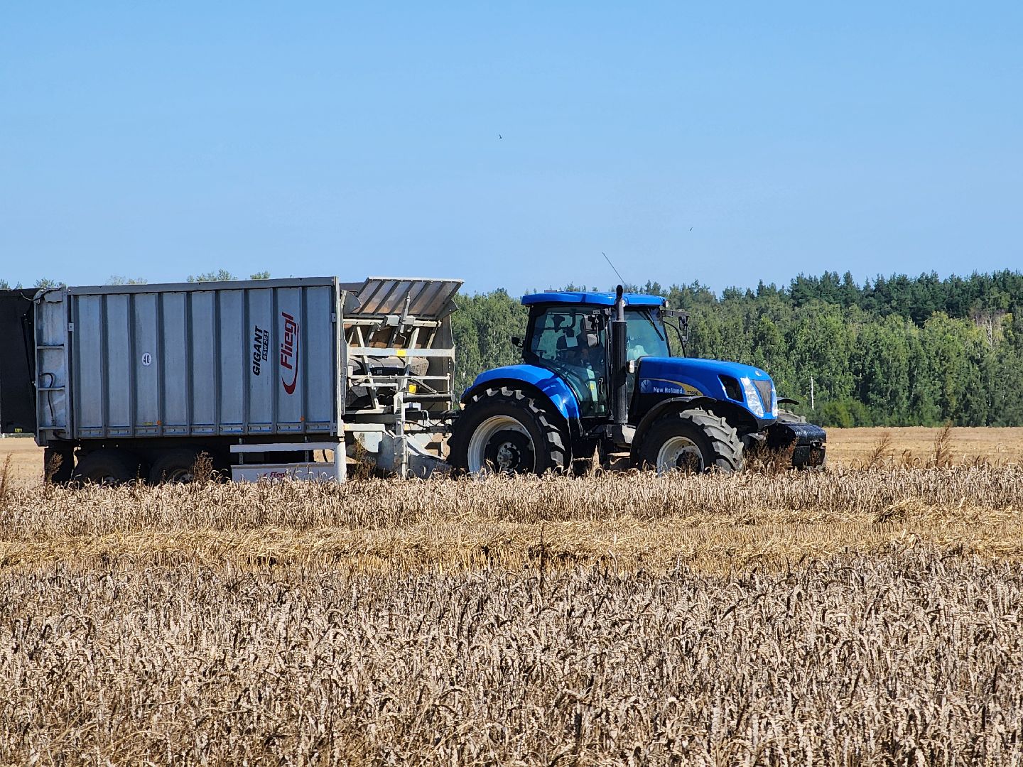 сельское хозяйство, уборка урожая, сельскохозяйственные культуры, Обухово, Богородский городской округ,