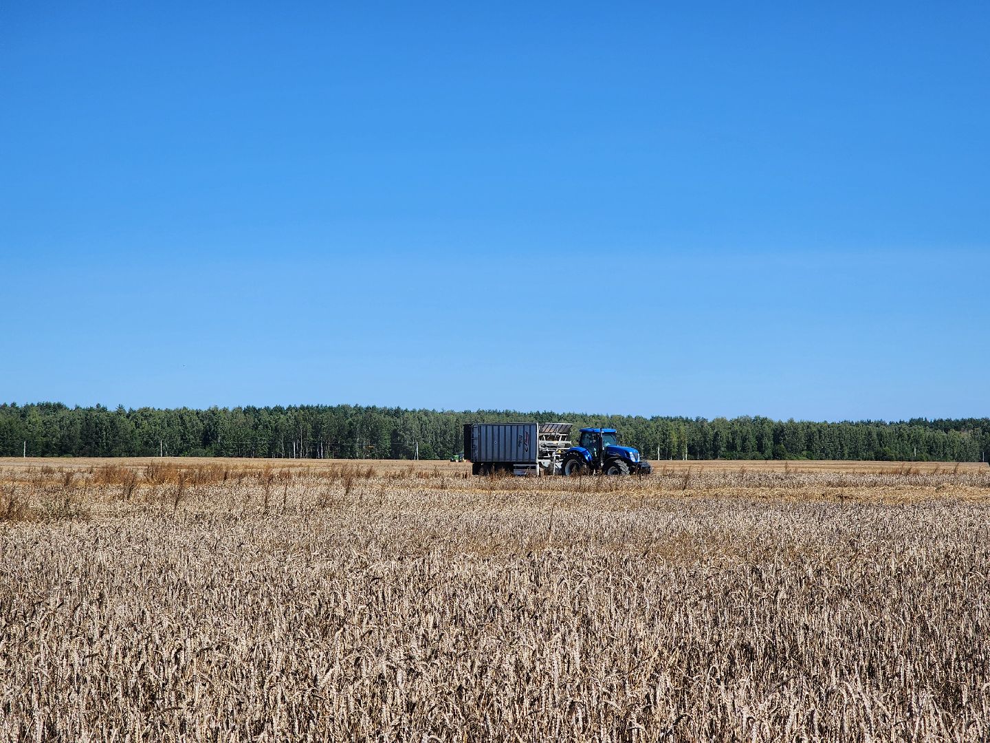 сельское хозяйство, уборка урожая, сельскохозяйственные культуры, Обухово, Богородский городской округ,