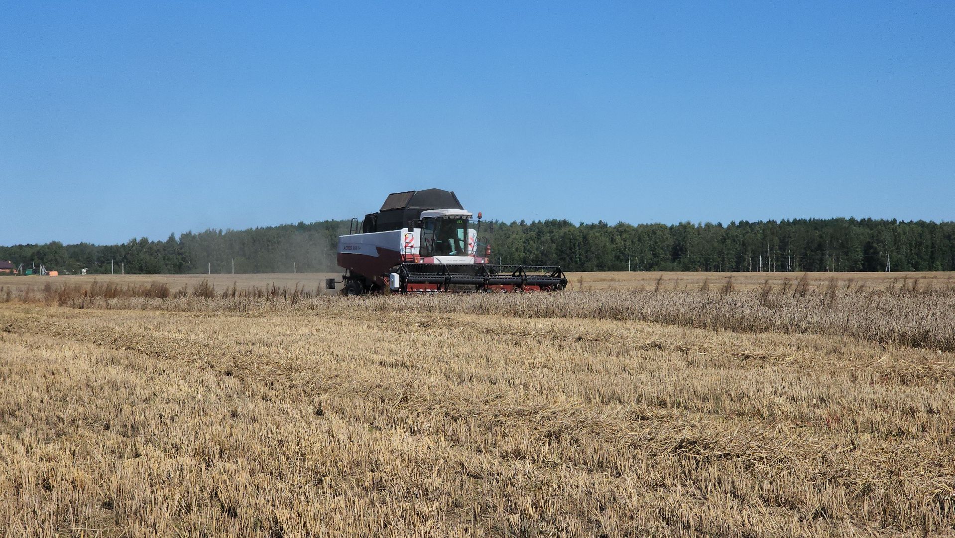 сельское хозяйство, уборка урожая, сельскохозяйственные культуры, Обухово, Богородский городской округ,