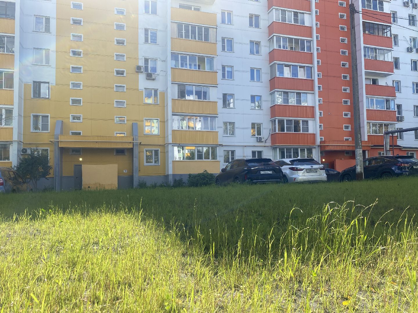 обход территории власиха, микрорайон заозерный власиха, власиха улица заозерная, благоустройство власиха, уборка территории,