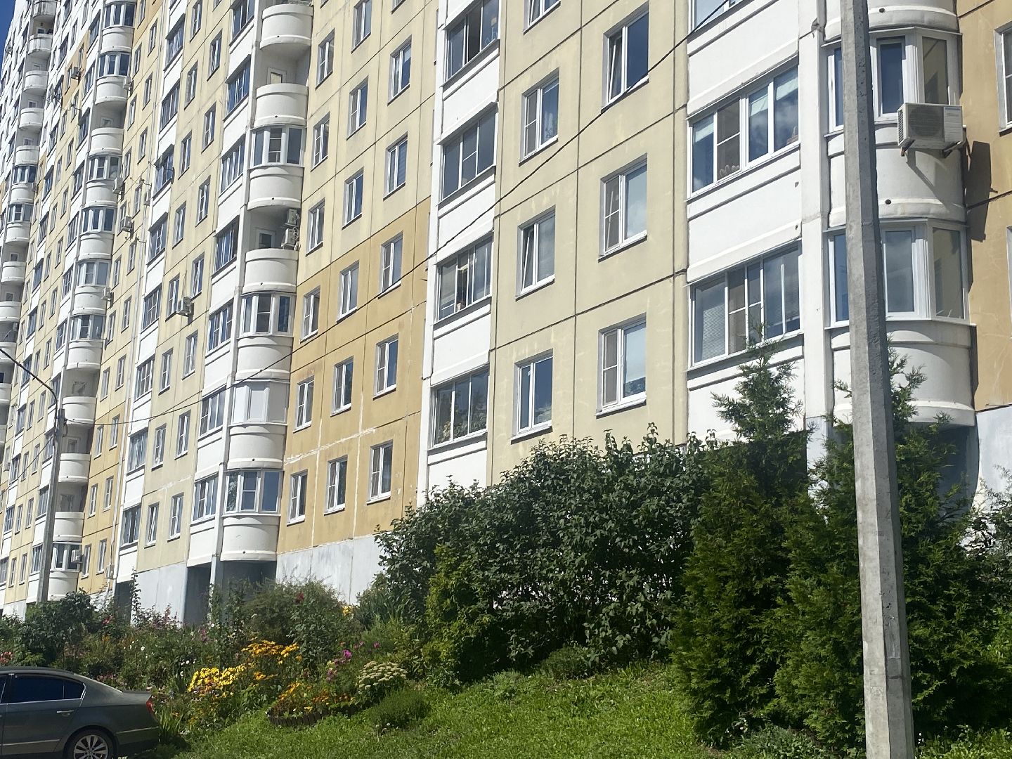 обход территории власиха, микрорайон заозерный власиха, власиха улица заозерная, благоустройство власиха, уборка территории,