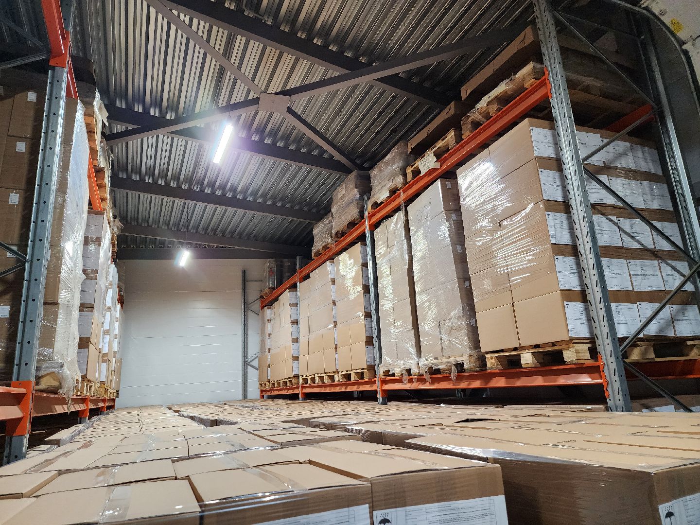 красноармейск, городской округ пушкинский, армия 2024, форум, сухие души,