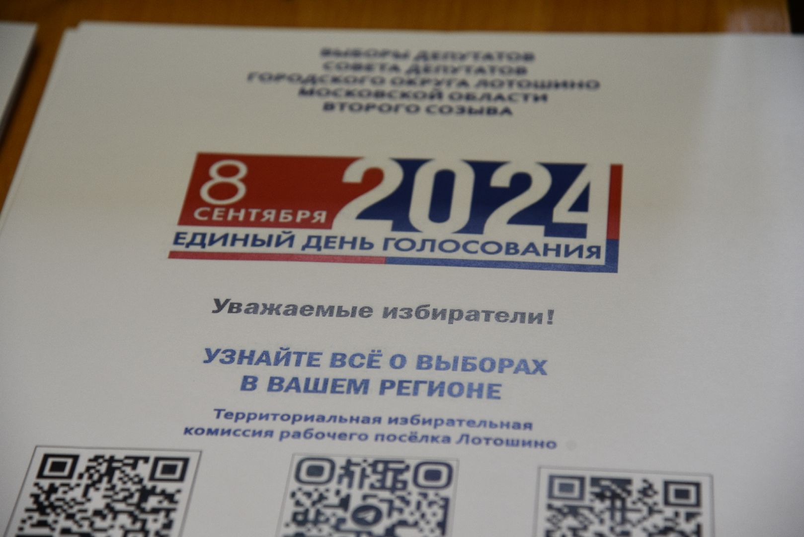 лотошино, выборы 2024, выборы депутатов совета депутатов, тик,