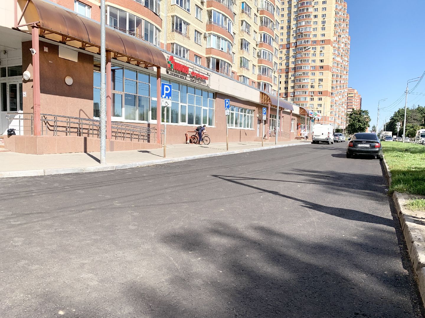 Балашиха, Подмосковье, благоустройство дворов, озеленение двора, высадка сирени, высадка кустарников,