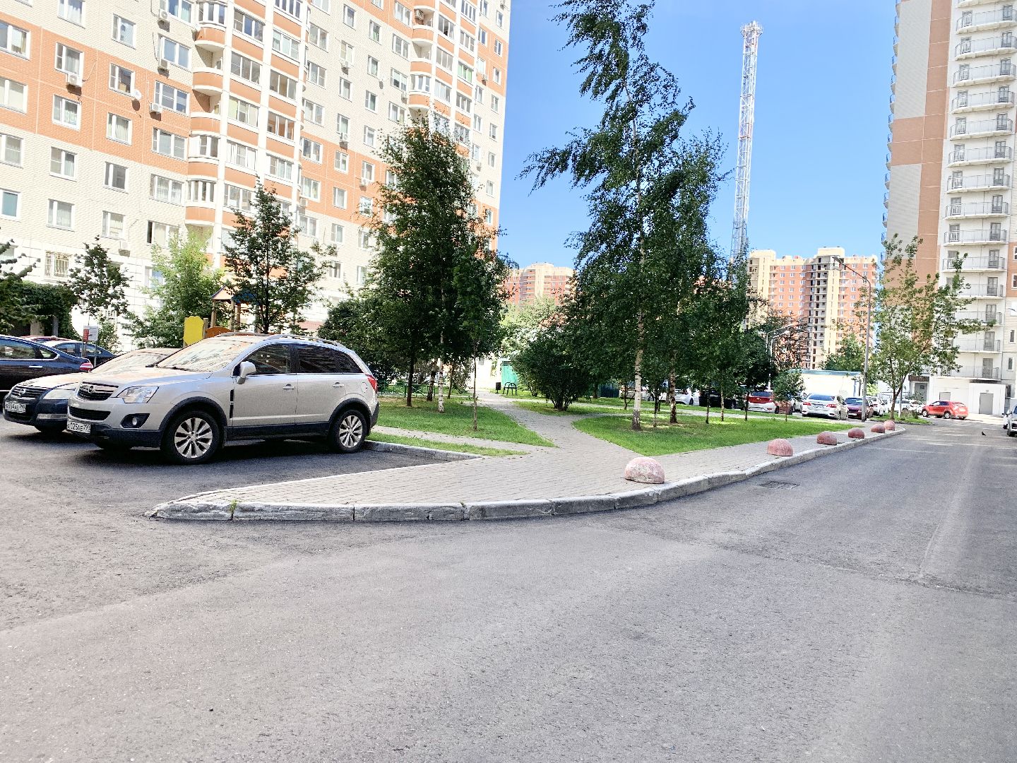 Балашиха, Подмосковье, благоустройство дворов, озеленение двора, высадка сирени, высадка кустарников,