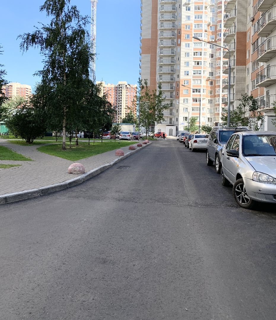 Балашиха, Подмосковье, благоустройство дворов, озеленение двора, высадка сирени, высадка кустарников,