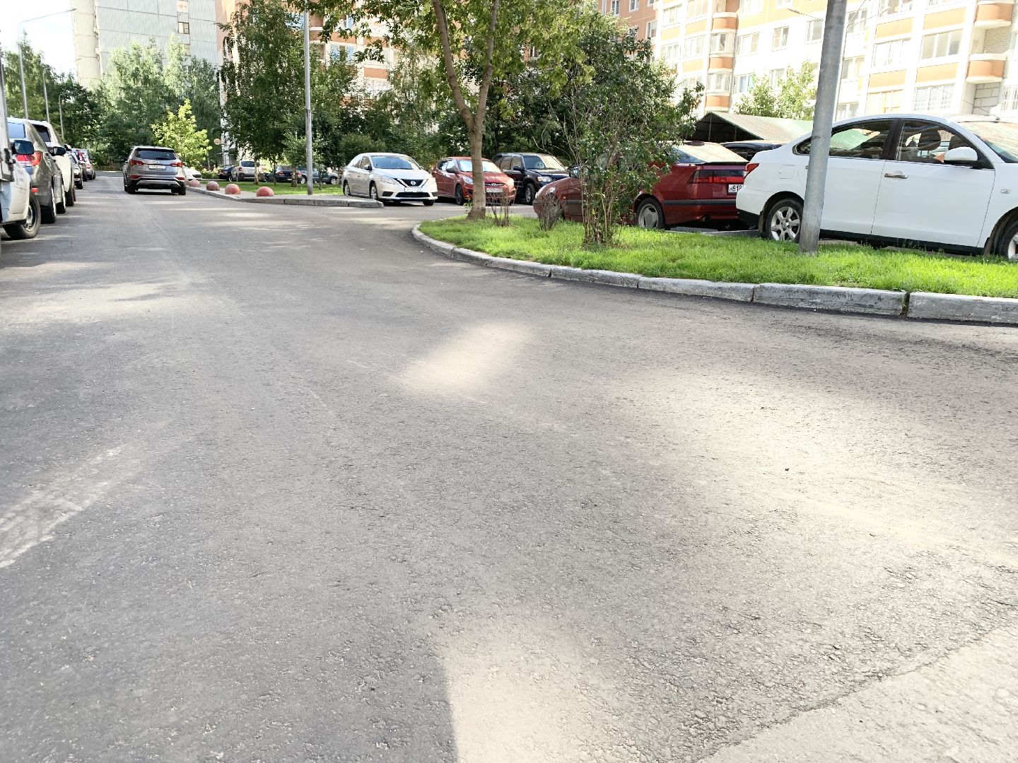 Балашиха, Подмосковье, благоустройство дворов, озеленение двора, высадка сирени, высадка кустарников,