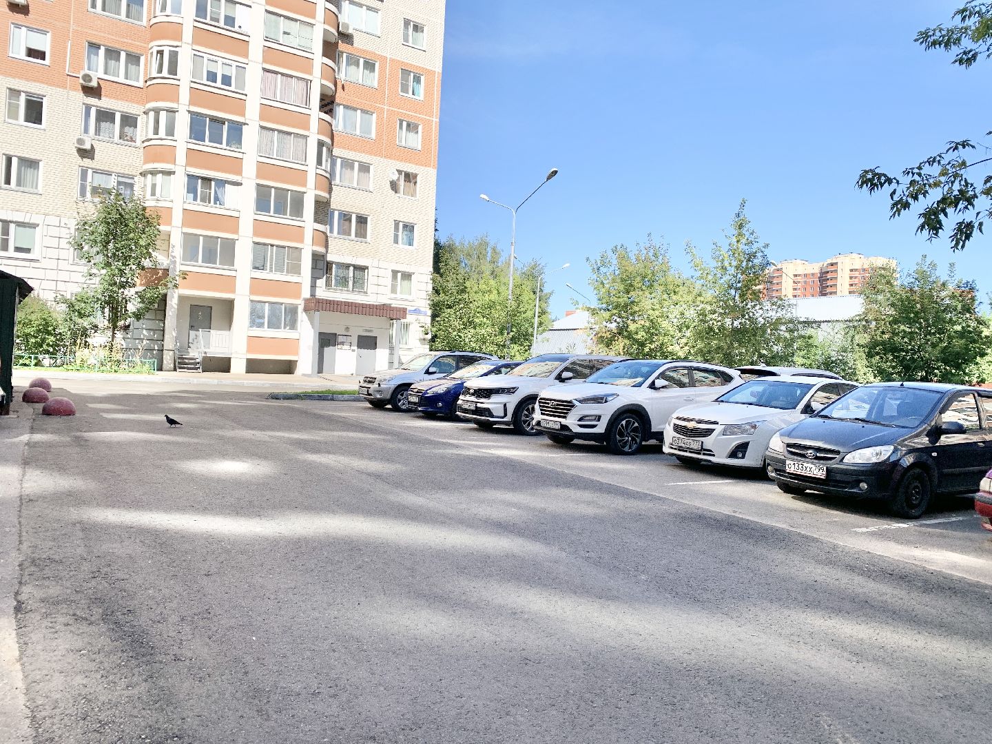 Балашиха, Подмосковье, благоустройство дворов, озеленение двора, высадка сирени, высадка кустарников,