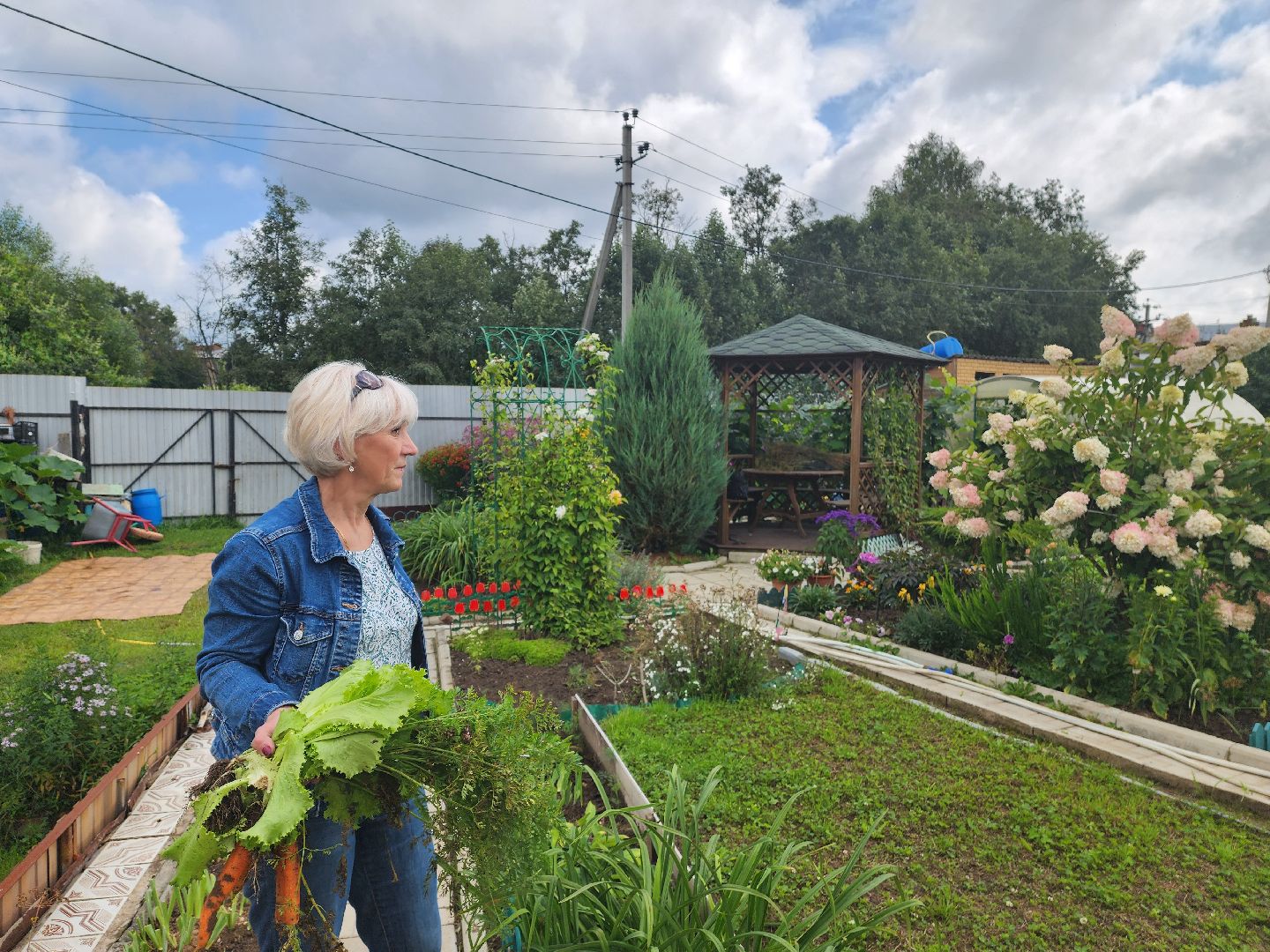 красноармейск, городской округ пушкинский, дачная культура, арбузы,