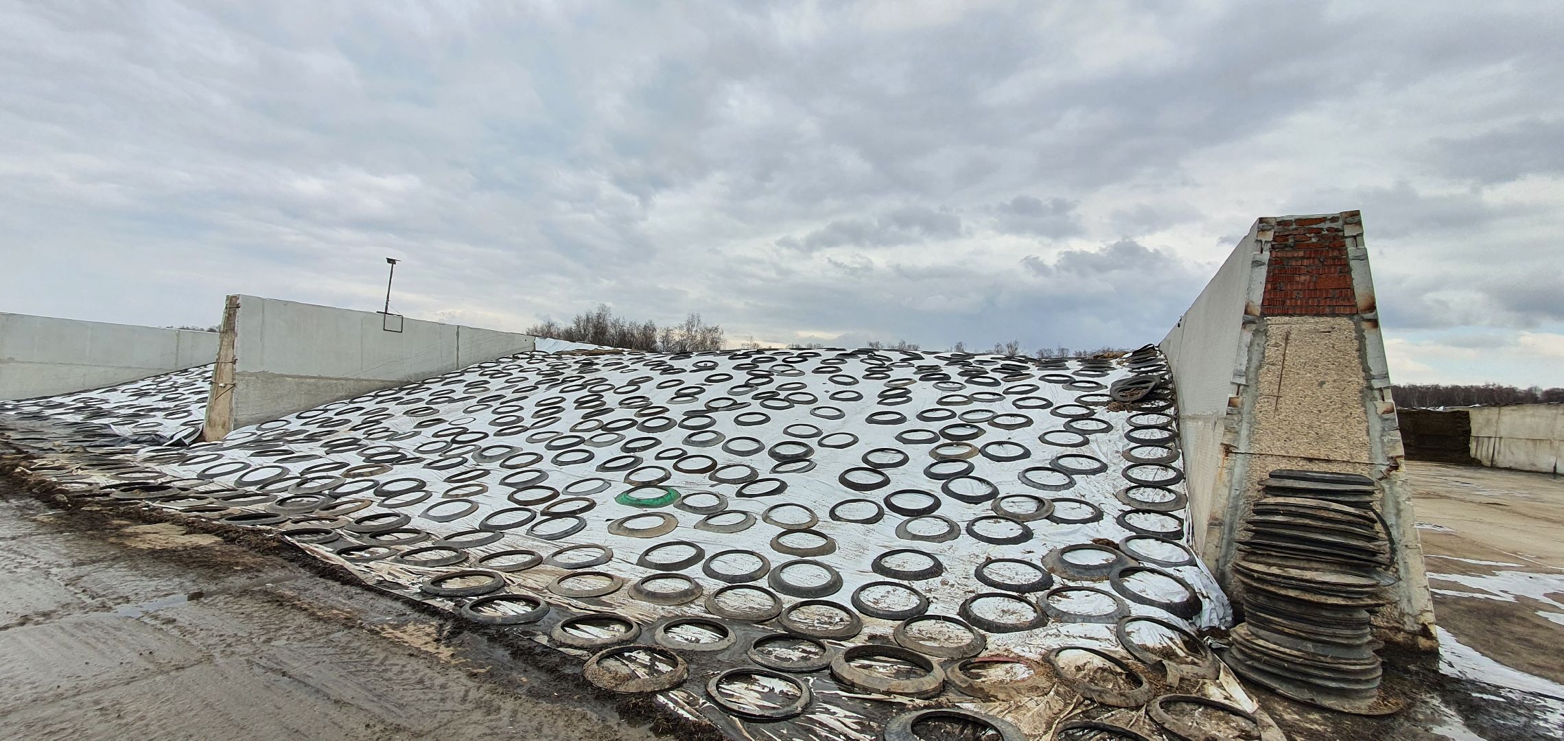 Минсельхоз, племзавод Повадино, новая ферма