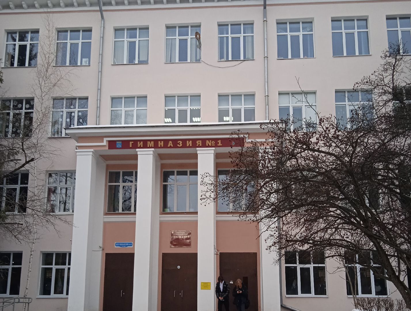 олимпиада, китайский, язык, призёр, гимназия